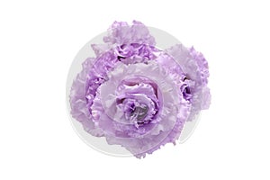 Bouquet of purple Lisianthus isolated a white background