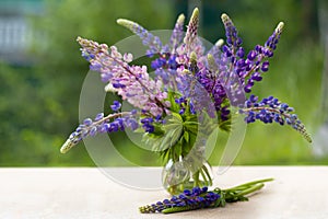 Bouquet of purple lupine flowers in a glass vase table outdoors. Soft selective focus bokeh. Still life with flowers. Lupins.