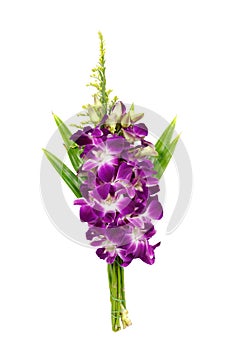 Bouquet purple orchid flower isolated on white background