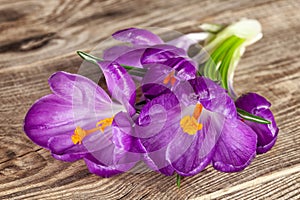 bouquet of purple snowdrops on a wooden table in rustic style