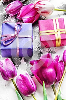 Bouquet of purple tulips and gift box