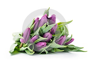 Bouquet of purple tulips isolated on white