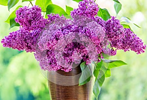 Bouquet purple Violet Lilac Flower  in a brown vase. Syringa vulgaris common lilac. Spring flowers