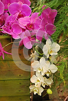 Bouquet of purple and white orchids