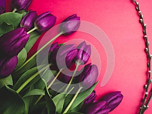 Bouquet of purpleviolet tulips background. Spring flowers. Greeting card for Valentine`s Day, Woman`s Day and Mother`s Day.