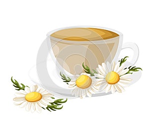 Bouquet realistic daisy, camomile flowers on white background. Vector illustration card camomile tea medical Web site page and mob