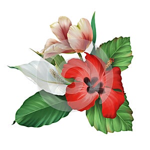 Bouquet of realistic tropical red hibiscus tulip and white  flowers with green leaves on white background