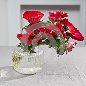 A bouquet of red anemones in a glass vase