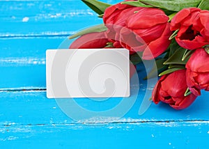 Bouquet of red blooming tulips with green stems and leaves, flowers lie on a blue wooden background