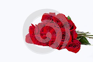 Bouquet of red burgundy roses on a white background. Water drops. Place for text.