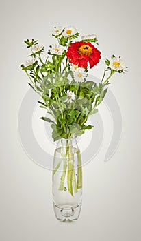 Bouquet from red daisy-gerbera and white aster in glass vase