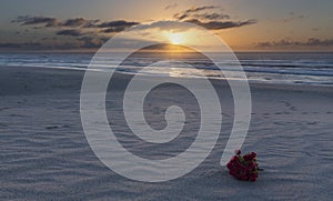 Bouquet of red flowers on beach at sunrise with cloudy sky