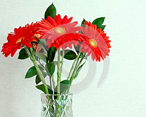 A bouquet of red gerberas stands in a glass vase