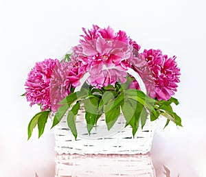Bouquet of Red Peony Flowers in a White Basket.