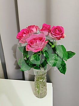 A bouquet of red-pink roses on a white table on a gray background. Bouquet in a cozy atmosphere at home.