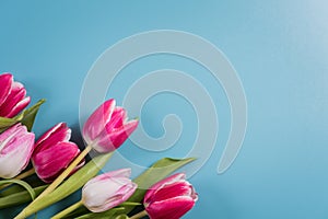 A bouquet of red and pink spring tulips on a colorful