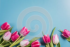 A bouquet of red and pink spring tulips on a colorful