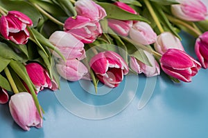 A bouquet of red and pink spring tulips on a colorful