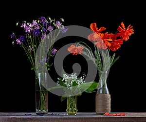 Bouquet of red poppies, a bouquet of white lilies of the valley and a bouquet of flowers bells in glass vases on a black backgroun