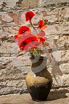 Bouquet of red poppies in clay jug on wooden table against old brick wall