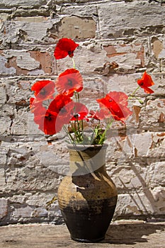 Bouquet of red poppies in clay jug on wooden table against old brick wall