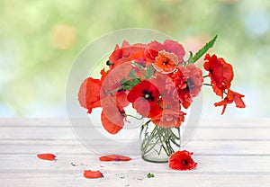 Bouquet of red poppies  corn poppy, corn rose, field poppy, red weed, coquelicot  in small vase on white wooden table on blur