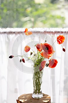 Bouquet of red poppies in a vase against the background of the window