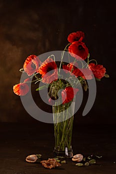 Bouquet of red poppies in a vase on a brown background