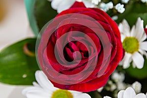 a bouquet of red roses