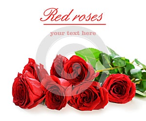 bouquet of red roses