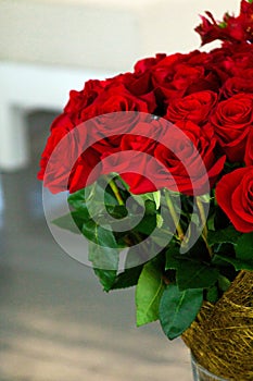 The bouquet of a red roses