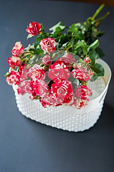 Bouquet of red roses against brick wall background in glass vase  with heart shape petals and red gift box  ribbons  passion love