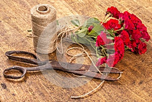 Bouquet of Red Roses, ball of Twine and Old Rusty Scissors on Wooden Table