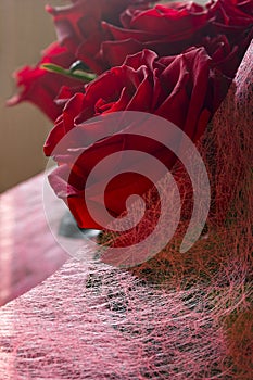 Bouquet of red roses for beautiful girls