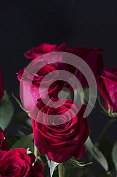 Bouquet of red roses on a black background. Vertical floral background for photo wallpaper, screen saver, banner.