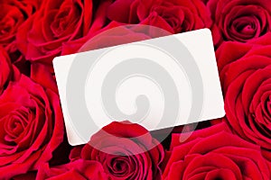 Bouquet of red roses and blank gift card, Valentines day background