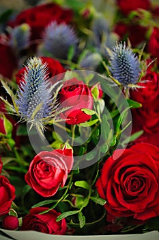 Bouquet of Red Roses and Blue Thistles on Copy Space
