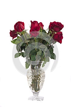 Bouquet of Red Roses in a Glass Vase