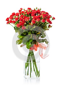 Bouquet of red roses in glass vase over white