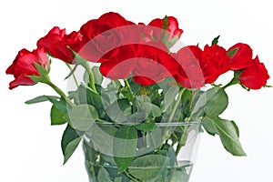 Bouquet of red roses in glass vase on white background