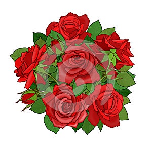 Bouquet of red roses isolated on white background.