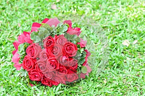 Bouquet of red roses on the lawn.