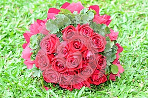 Bouquet of red roses on the lawn.