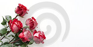 A bouquet of red roses lies on a white wooden table, there is copy space.