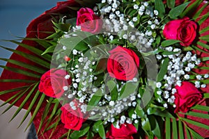 Bouquet of red roses . Red flower picture close up in the bouquet. The flower`s petal . Bouquet of fresh red roses