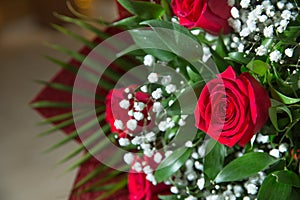 Bouquet of red roses . Red flower picture close up in the bouquet. The flower`s petal . Bouquet of fresh red roses