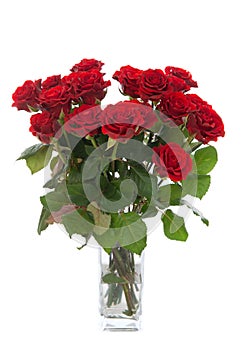 Bouquet of red roses in vase isolated