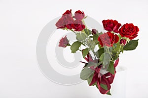 Bouquet of red roses in vase on white background