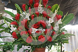 Bouquet of red rouses