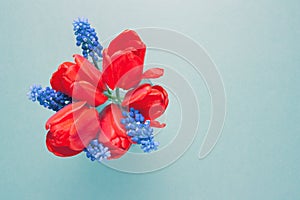 Bouquet of red tulips with blue muscari flowers on a light background. Spring holiday card. Toned.